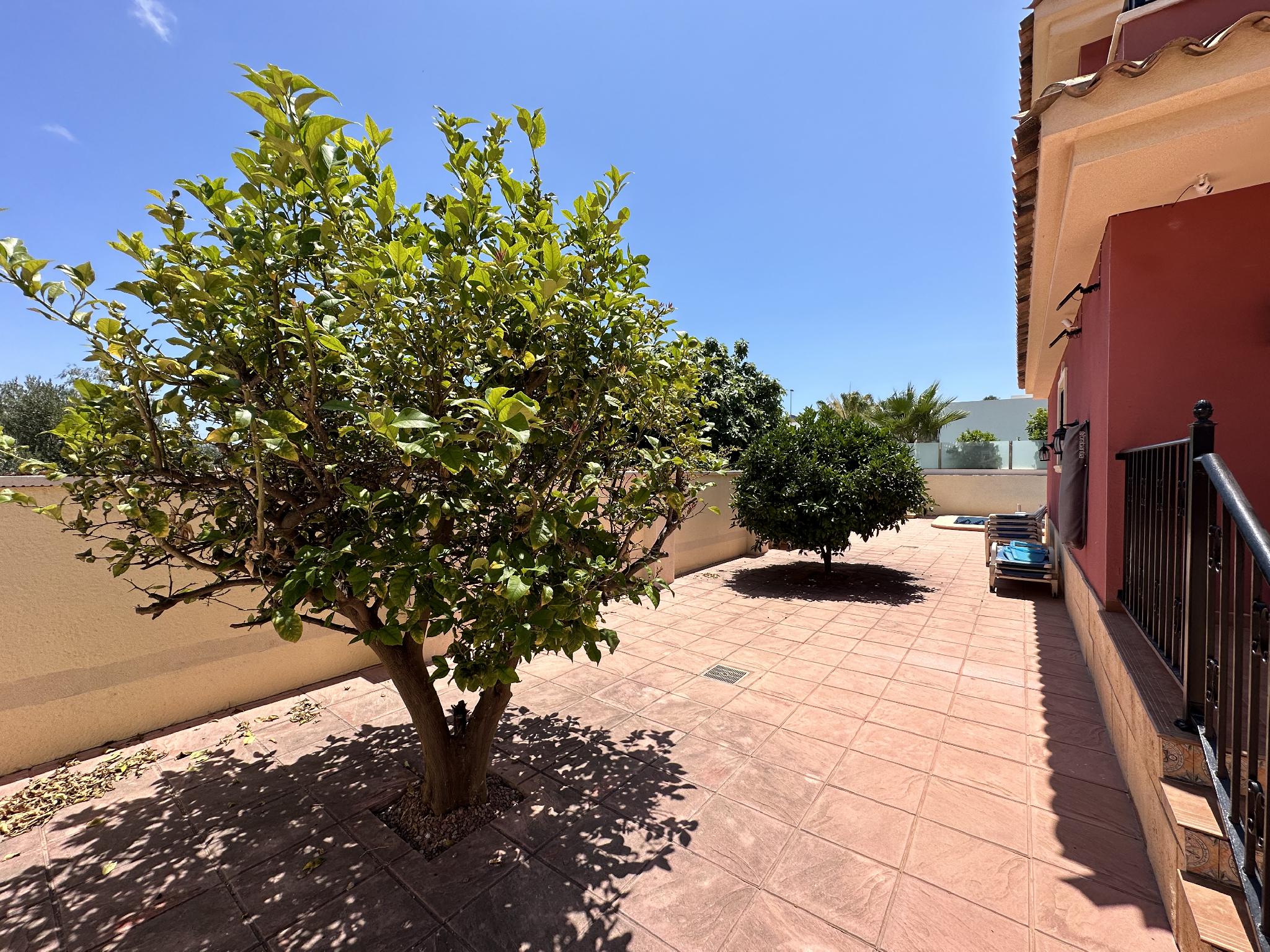 La Zenia