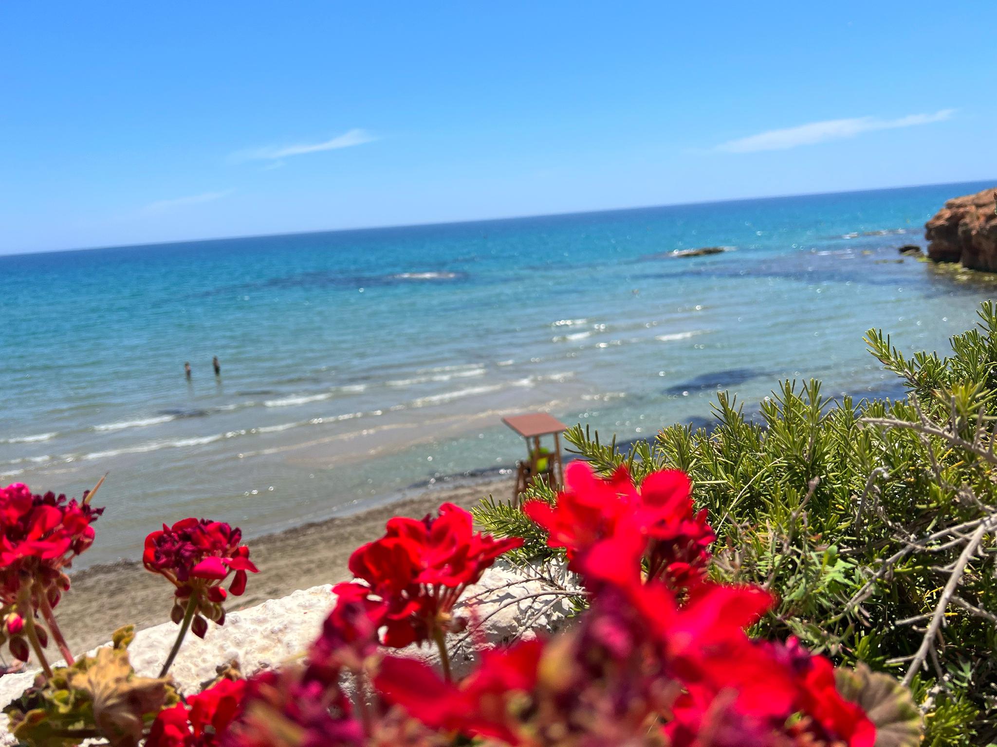 Cabo Roig